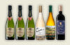 pack 6 botella de cava y vino tino, blanco y rodado
